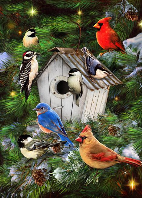 Puzzle Winter Birdhouse - 1000 Pieces