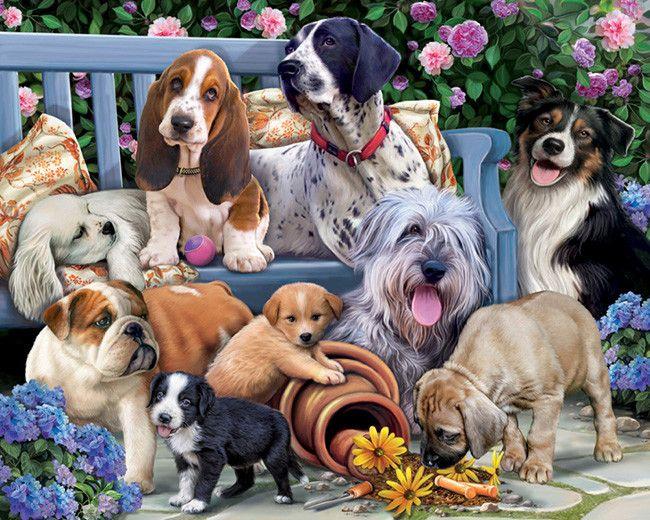 Puzzle Dogs on a Bench  - 1000 Pieces